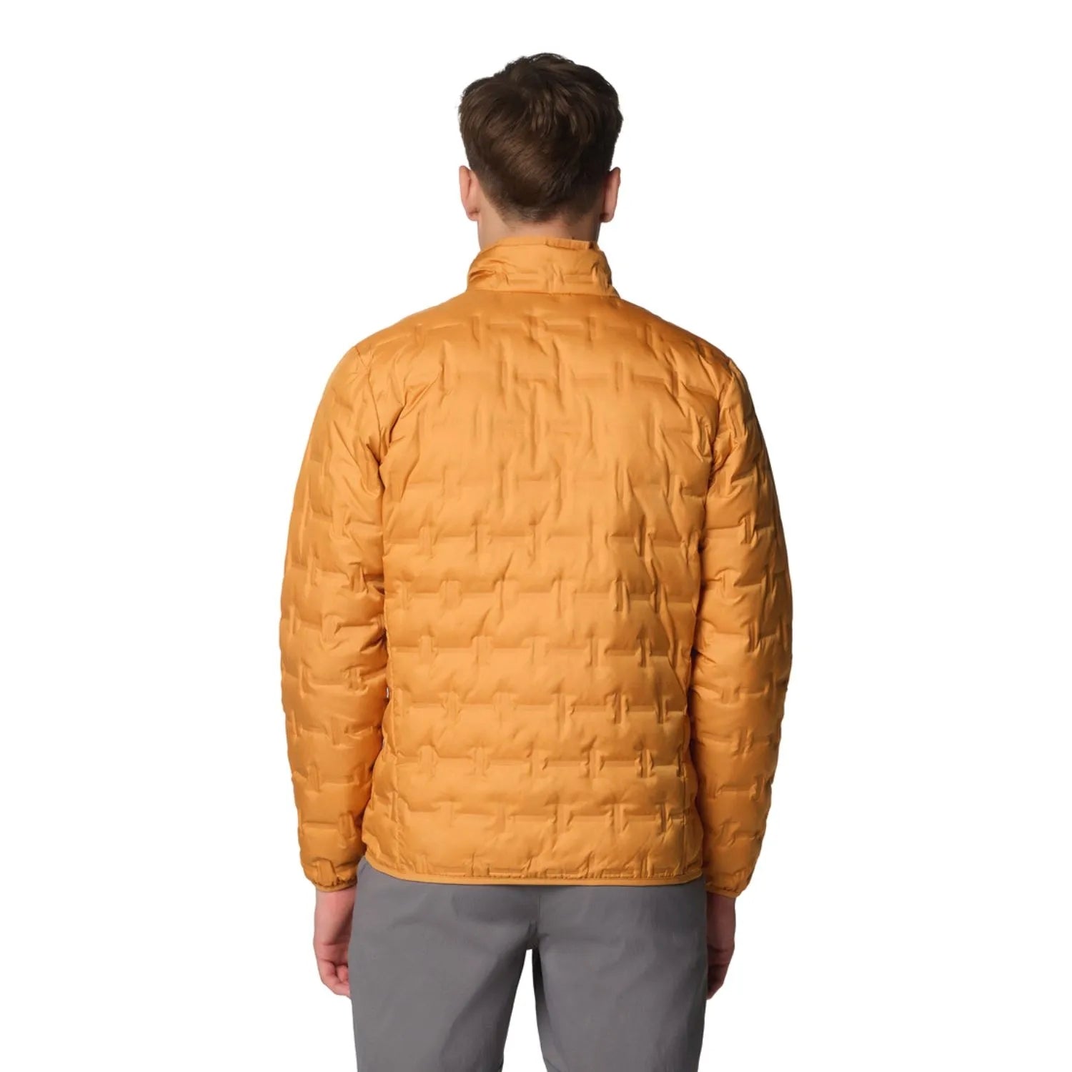 Delta Ridge II Down Jacket