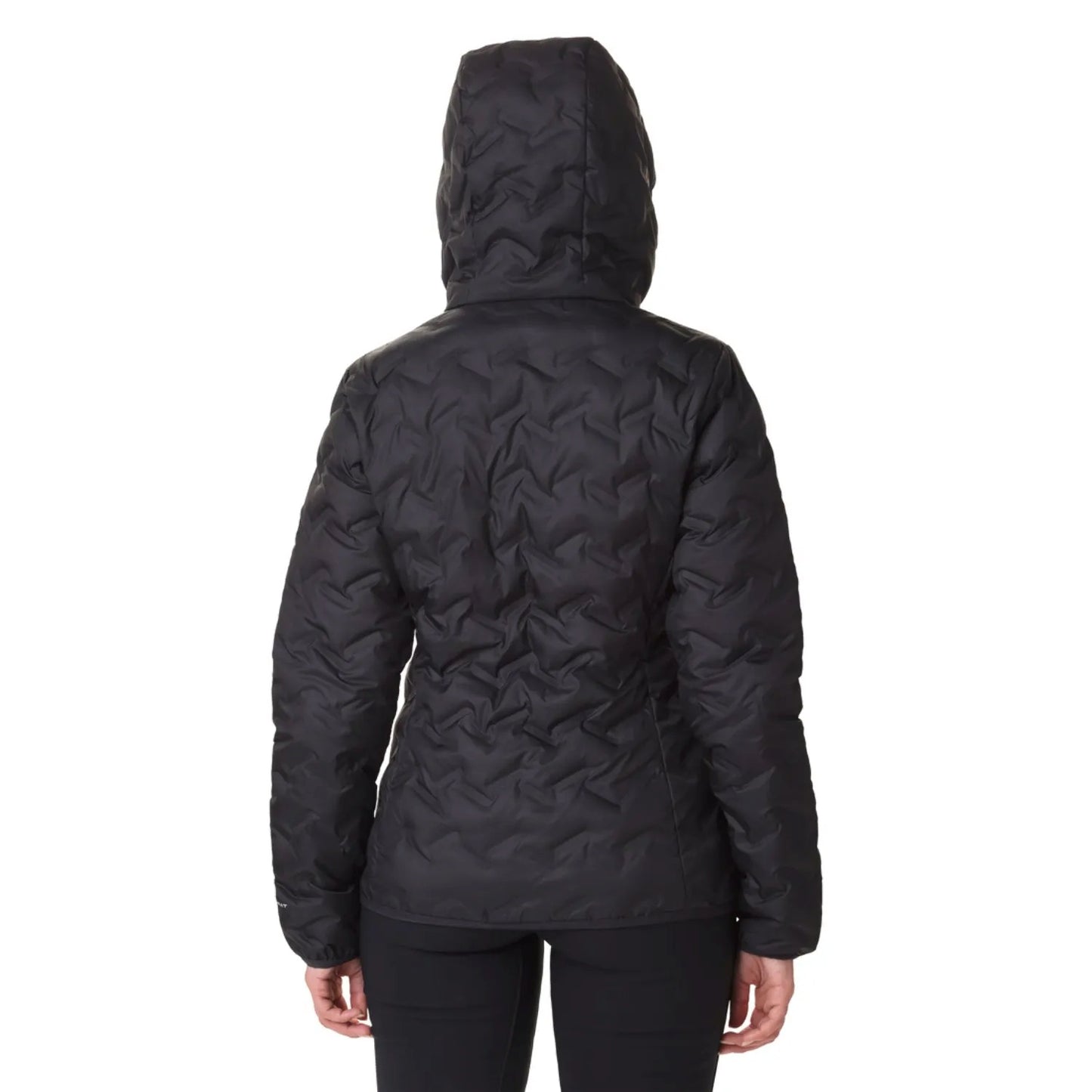 Delta Ridge II Down Hooded Jacket